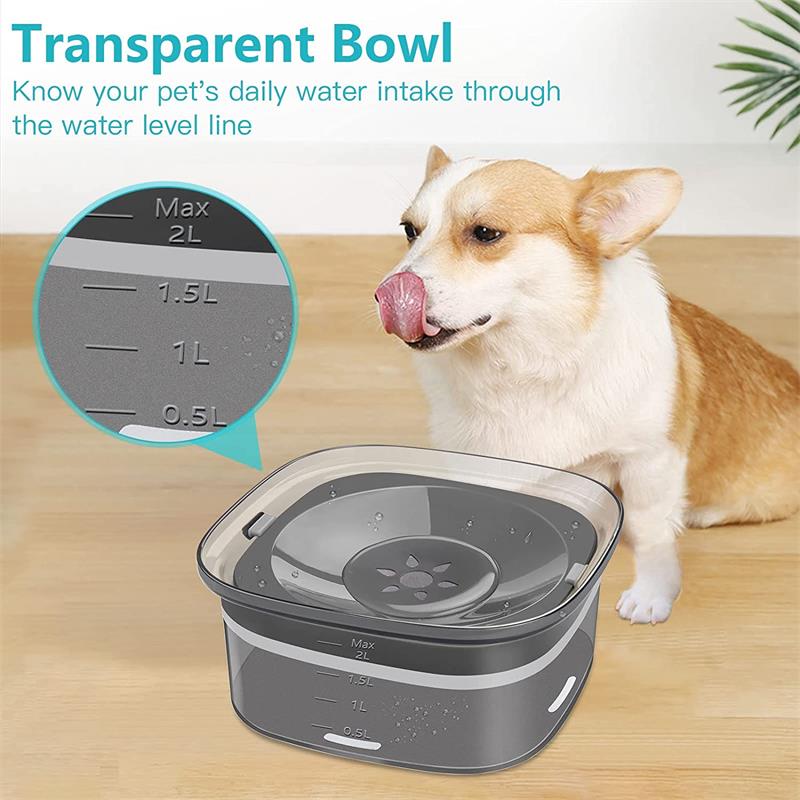 Dog Water Bowl